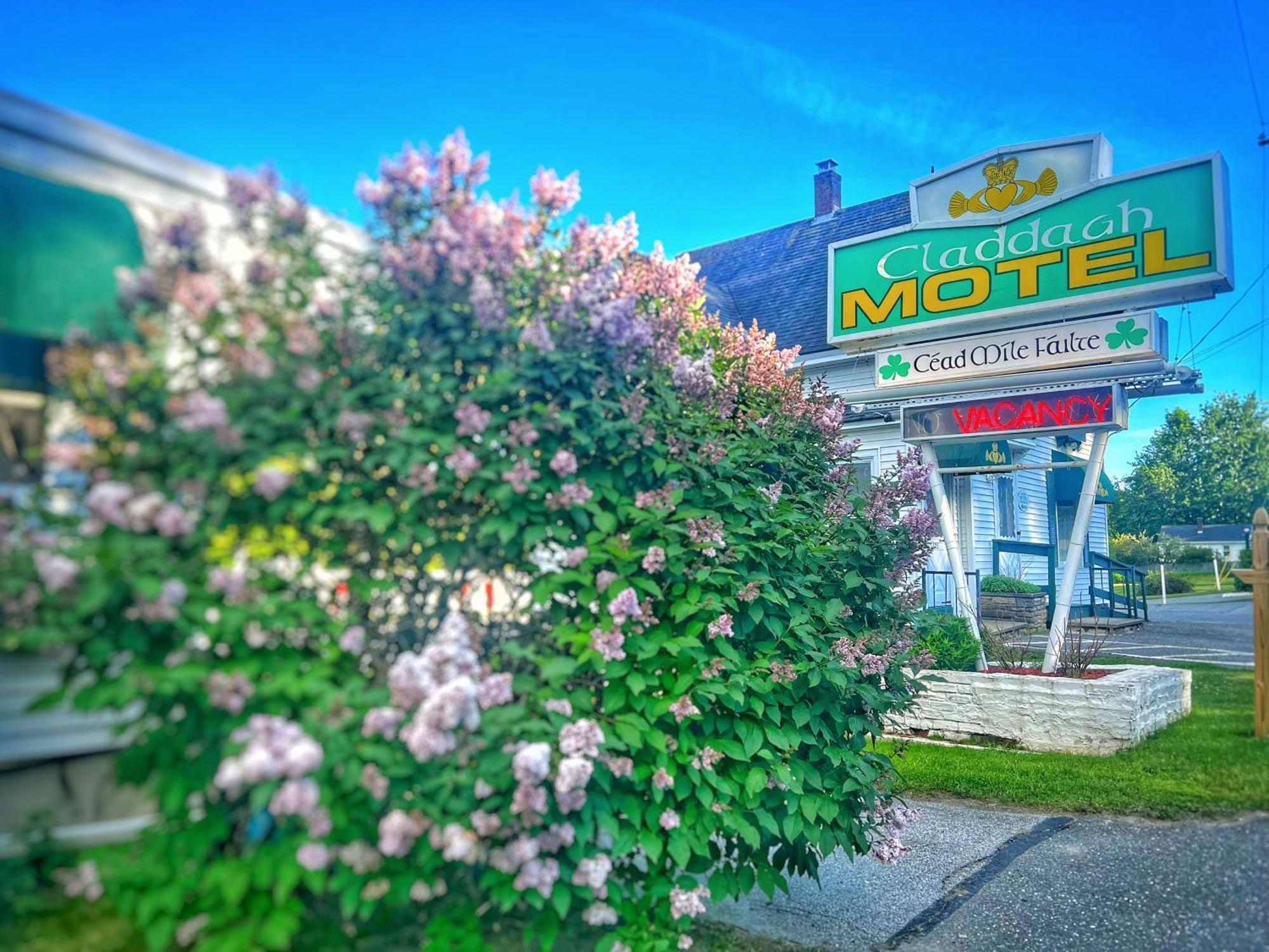 Claddagh Motel & Suites Rockport Eksteriør billede
